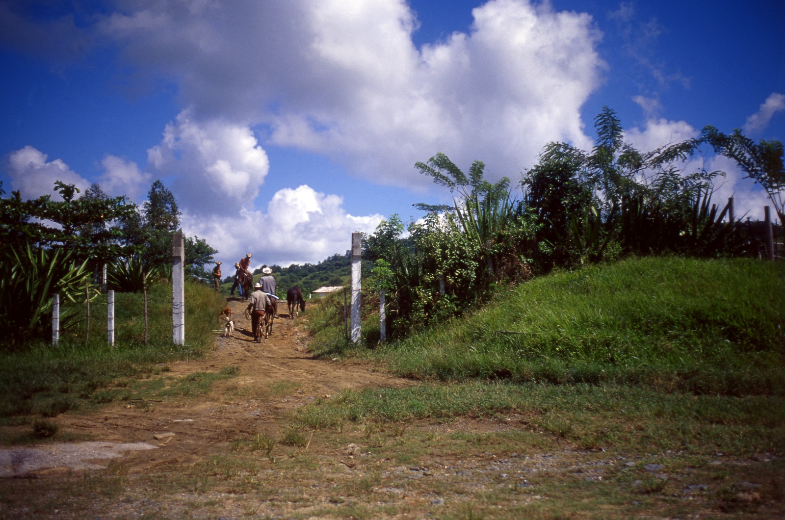 Cuba, getting around 4